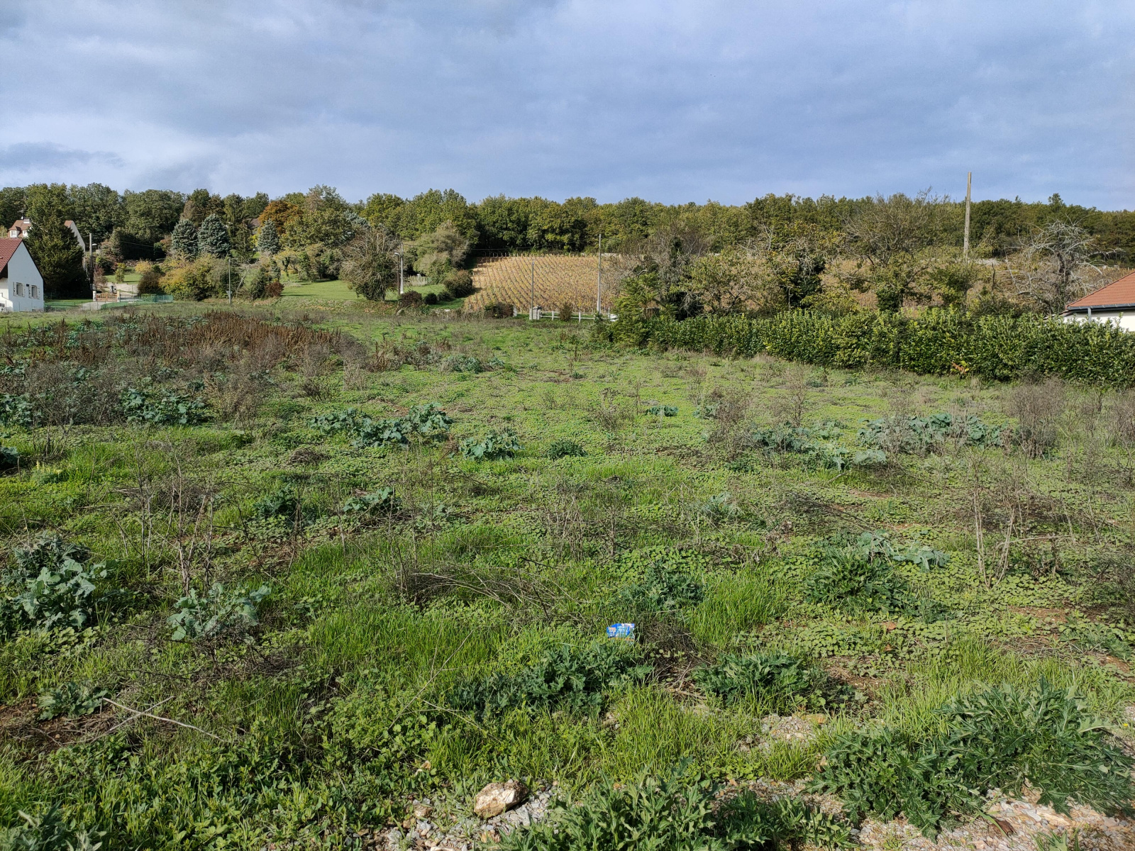 Image_, Terrain, Fontaines, ref :M52 lot 4